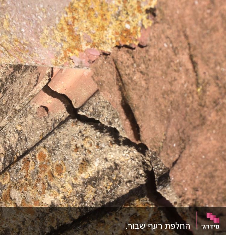 רעפים שבורים עם טחב על גג